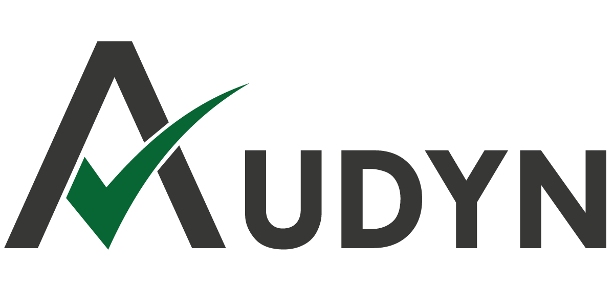 Audyn